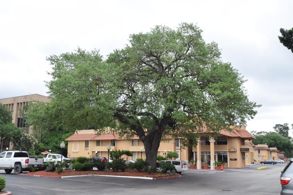 Memorial Inn And Suites Χιούστον Εξωτερικό φωτογραφία